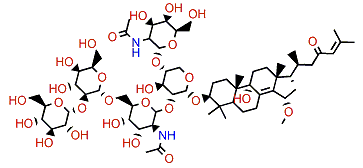 Sarasinoside I2